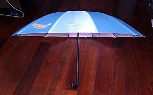 廣告禮品/廣告小扇子,廣西南寧廣告小扇子/廣告傘