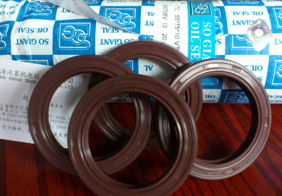 供應(yīng)臺灣進(jìn)口氟膠油封,NAk/SOG氟膠油封-上海泛塞機(jī)電設(shè)備