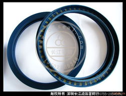 邁克BABSL型油封 進口油封的性能優勢與應用領域